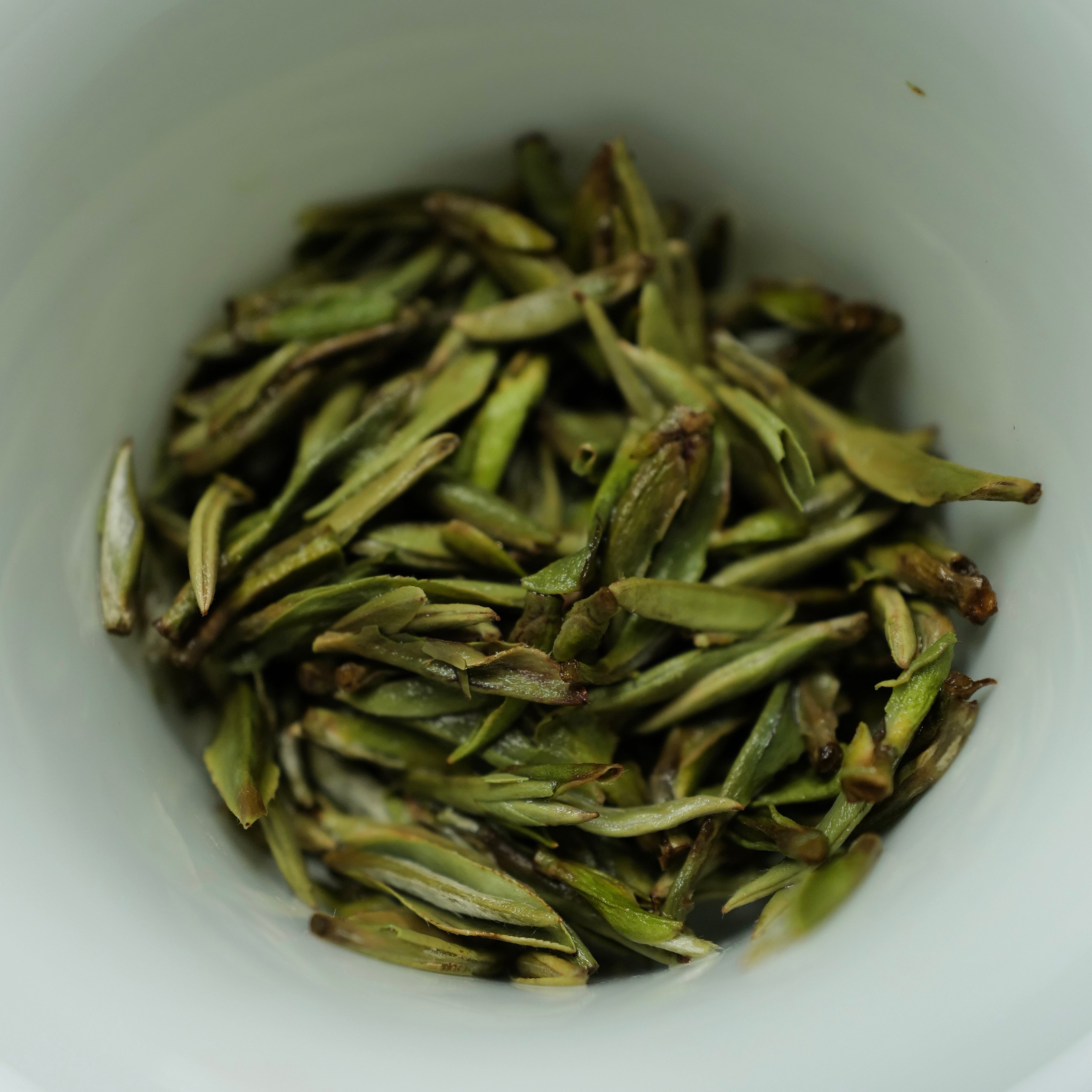 2022 Fuding First Spring Picked silver needle white tea福鼎頭採白毫銀針