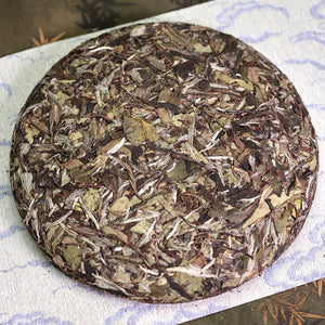2018 Yu Zhi Ya White Peony White Tea 玉芷芽白牡丹