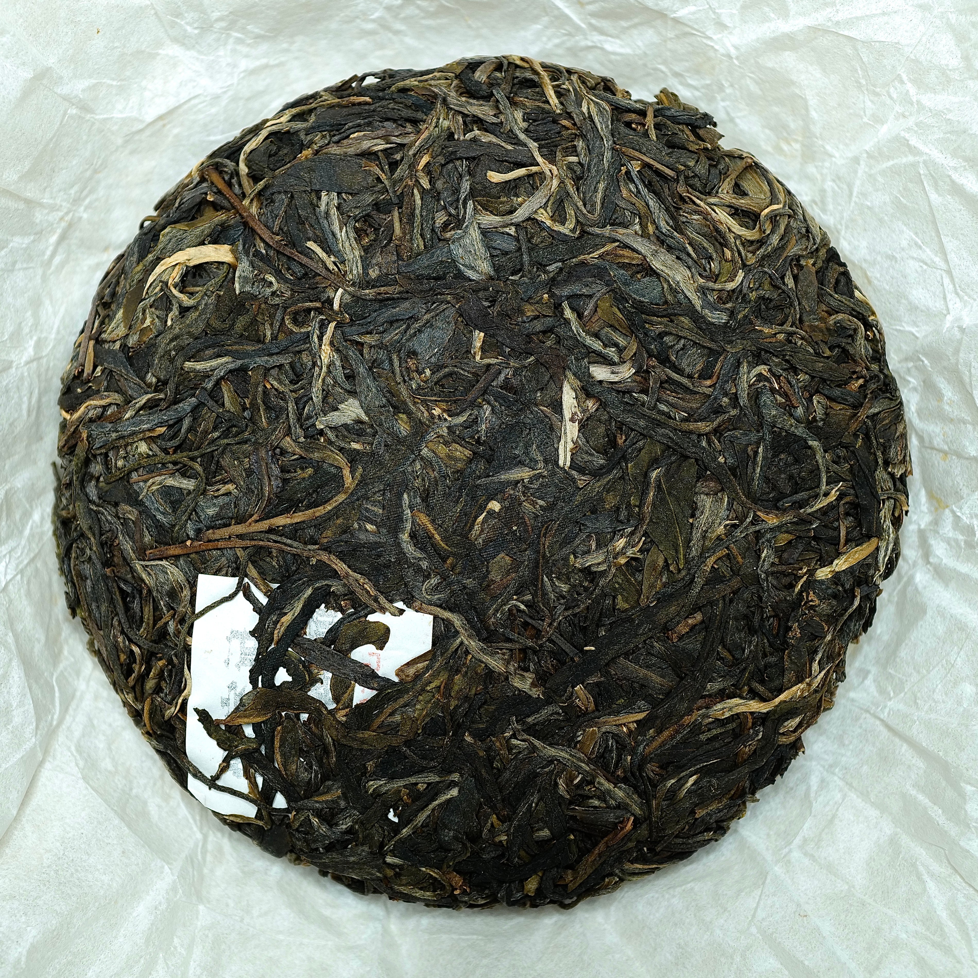 2019 Yiwu Mang She Qing Raw Puerh Tea 易武蟒蛇箐古樹生普洱