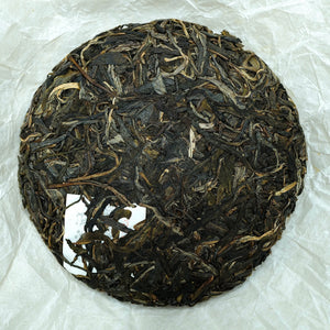 2019 Yiwu Mang She Qing Raw Puerh Tea 易武蟒蛇箐古樹生普洱