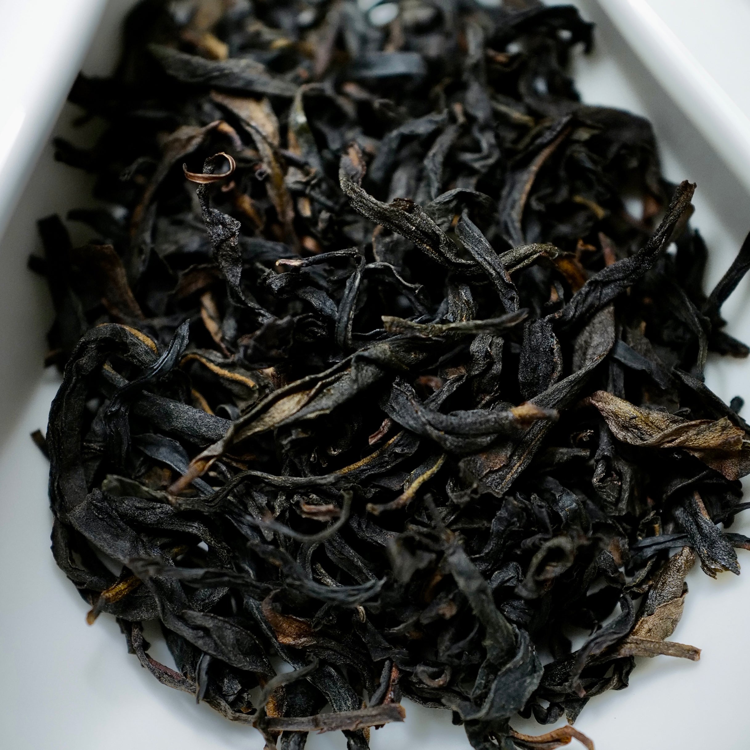 SCAFTEA SELECTED Phoenix Dancong Oolong Tea Premium Ten-aroma Collection Set 鳯凰單叢十大香型套装