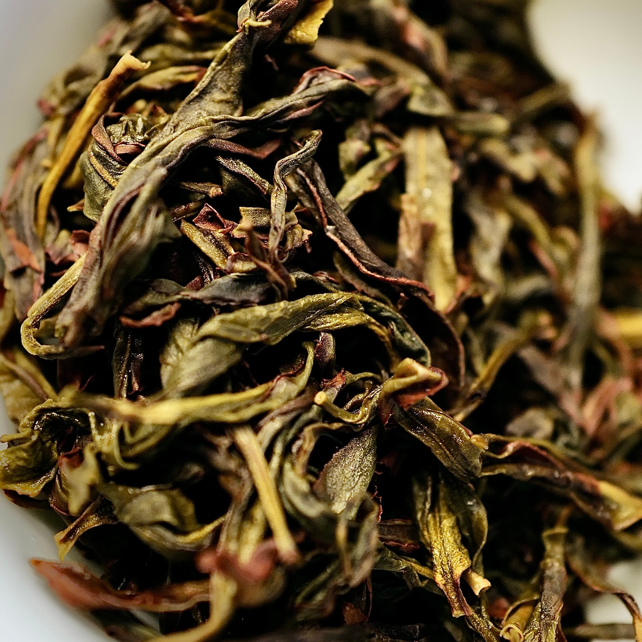 SCAFTEA SELECTED Wudong Song Zhong Milan Dancong Oolong Tea 私藏烏崬宋種蜜蘭香單叢
