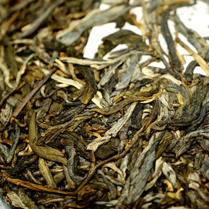 SCAFTEA SELECTED 2019 Genuine Xigui Gushu Raw Puerh Tea 純正昔歸古樹生普洱