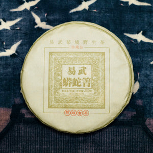 2019 Yiwu Mang She Qing Raw Puerh Tea 易武蟒蛇箐古樹生普洱