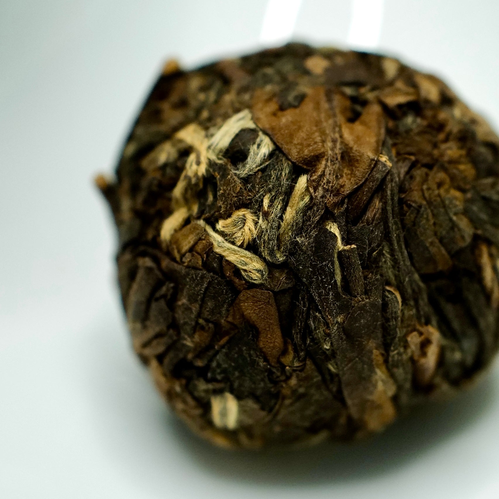 Dragon Ball Fuding Shoumei White Tea 福鼎龍珠壽眉