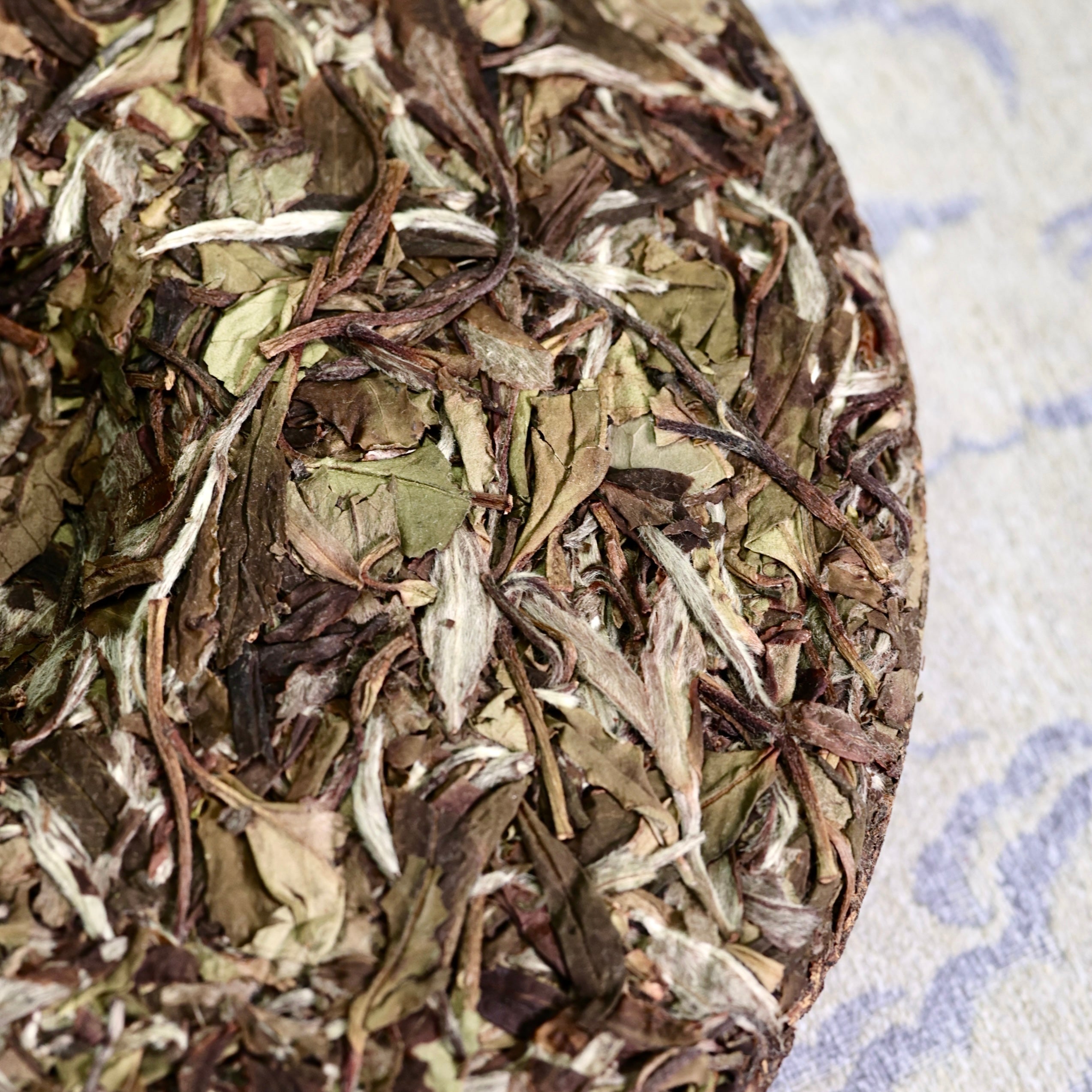 2018 Yu Zhi Ya White Peony White Tea 玉芷芽白牡丹