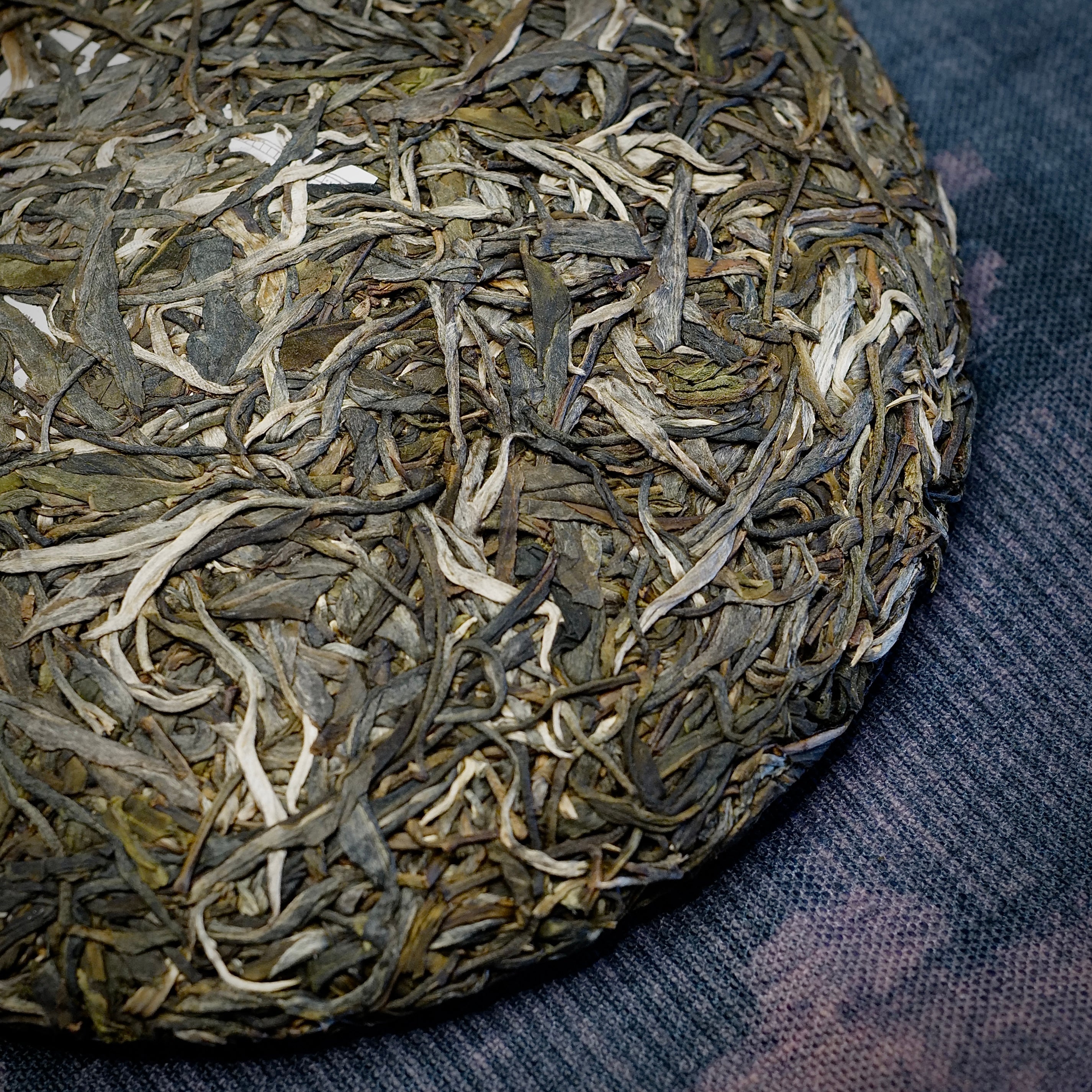 2022 Molie Gushu Raw Puerh Tea 磨烈古樹生普洱