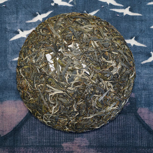 2022 Molie Gushu Raw Puerh Tea 磨烈古樹生普洱