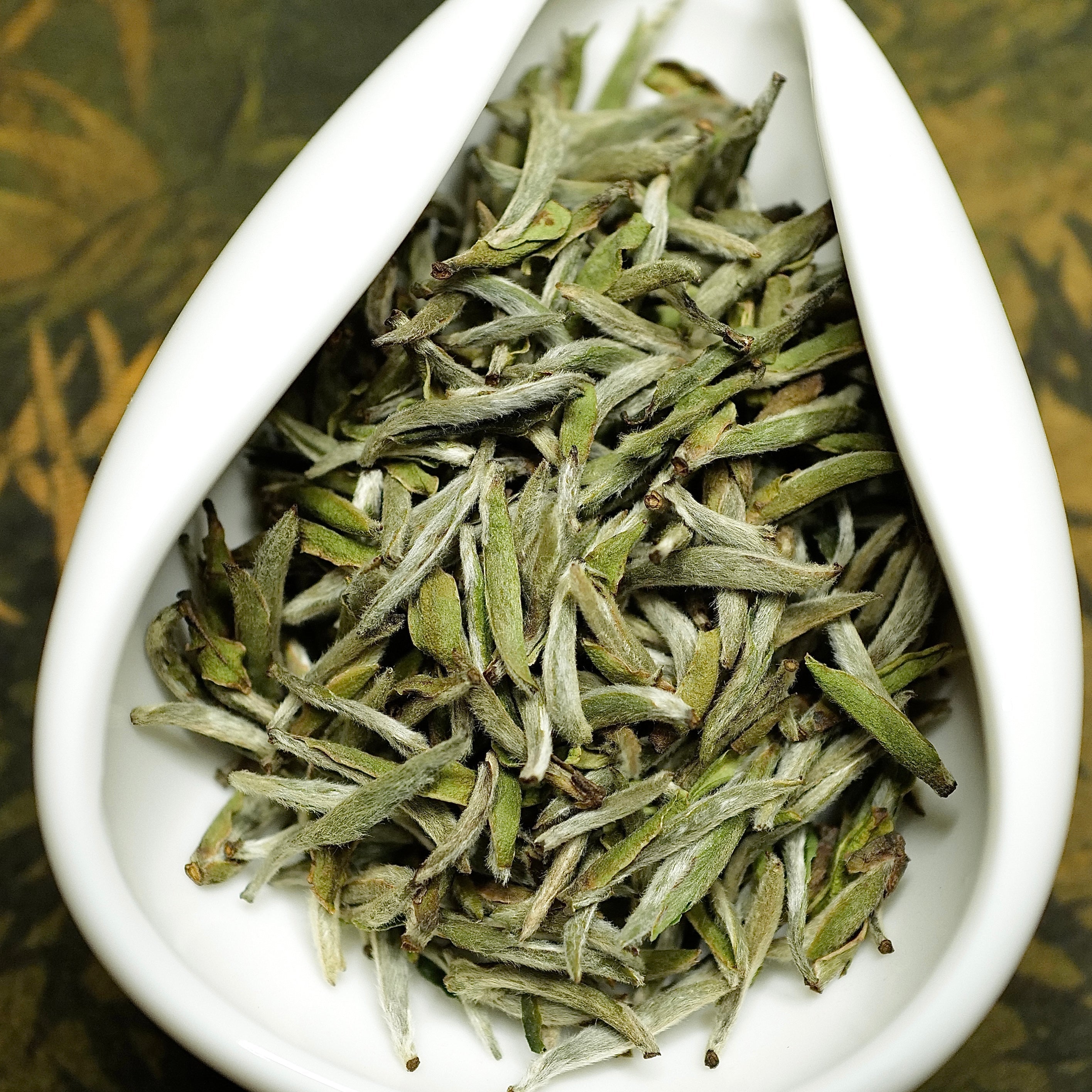 2022 Fuding First Spring Picked silver needle white tea福鼎頭採白毫銀針