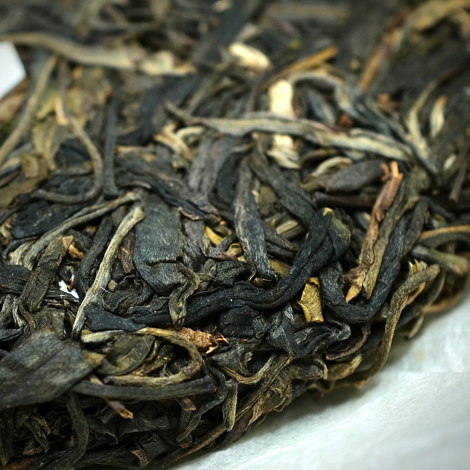 2019 Yiwu Mang She Qing Raw Puerh Tea 易武蟒蛇箐古樹生普洱