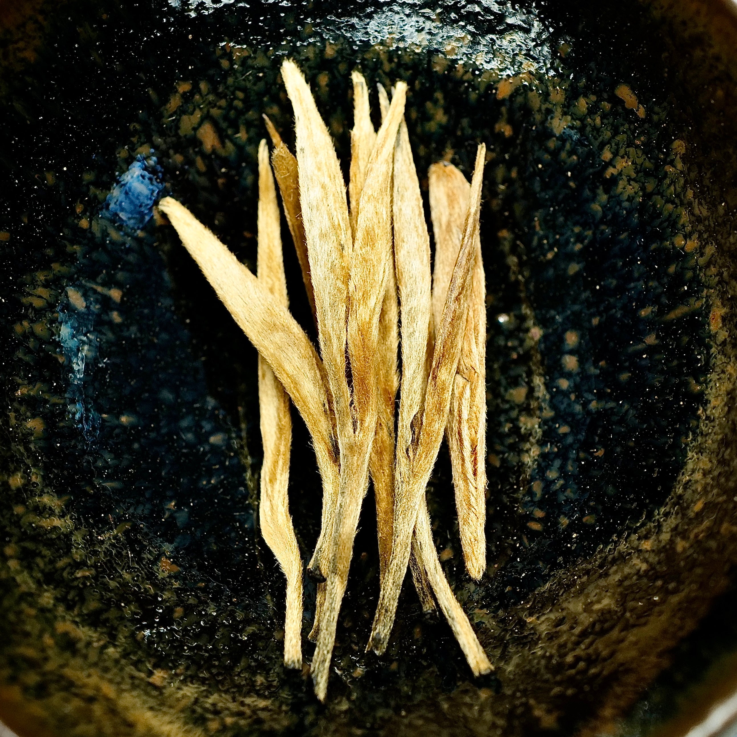Fengqing Golden Needle Black Tea 鳳慶大金針紅茶