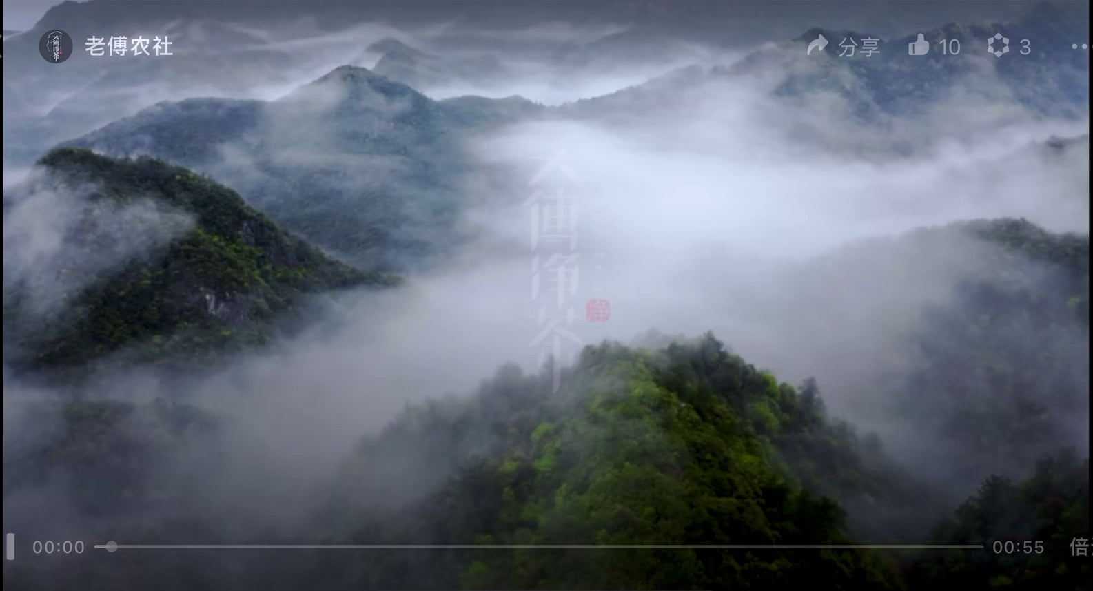 Dragon Well Green Tea 龍井绿茶