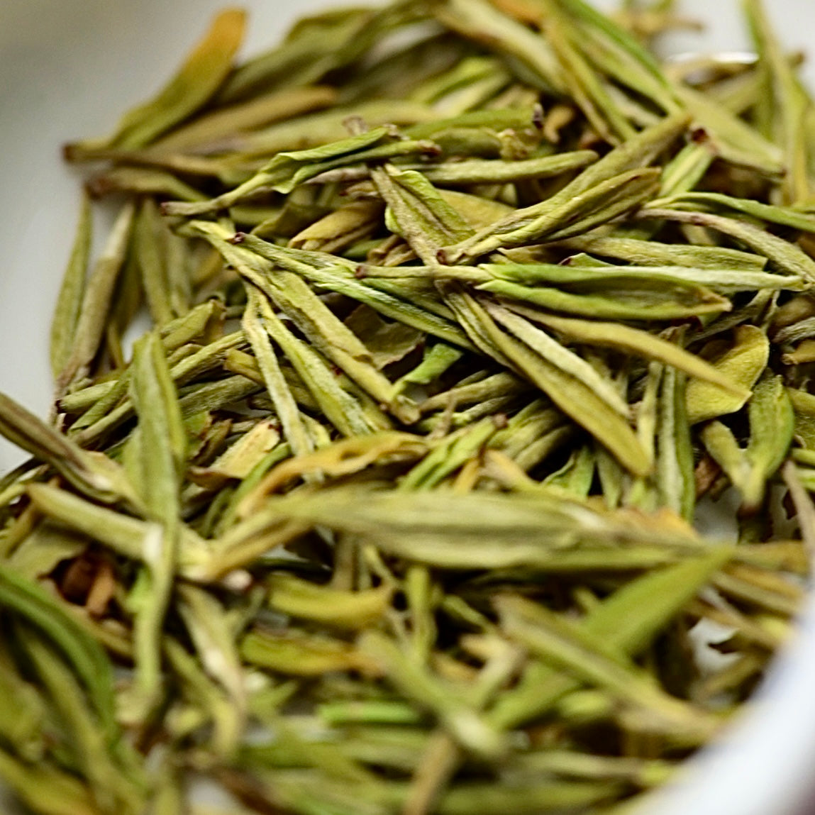 Golden Bud Green Tea 黄金芽