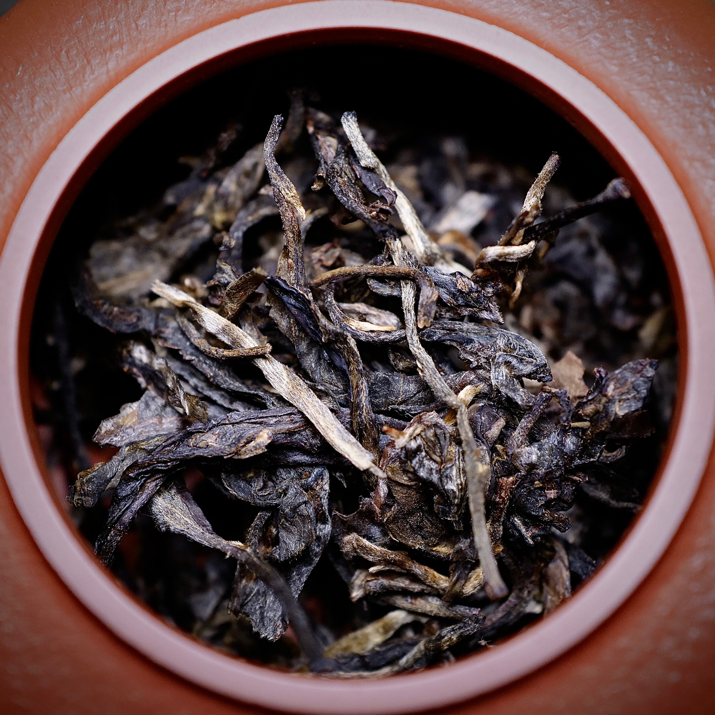 2015 Bangbing Chaqing 500 years Gushu Raw Puerh Tea 邦丙岔箐伍百年古樹生普洱茶