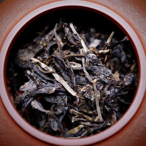 2015 Bangbing Chaqing 500 years Gushu Raw Puerh Tea 邦丙岔箐伍百年古樹生普洱茶