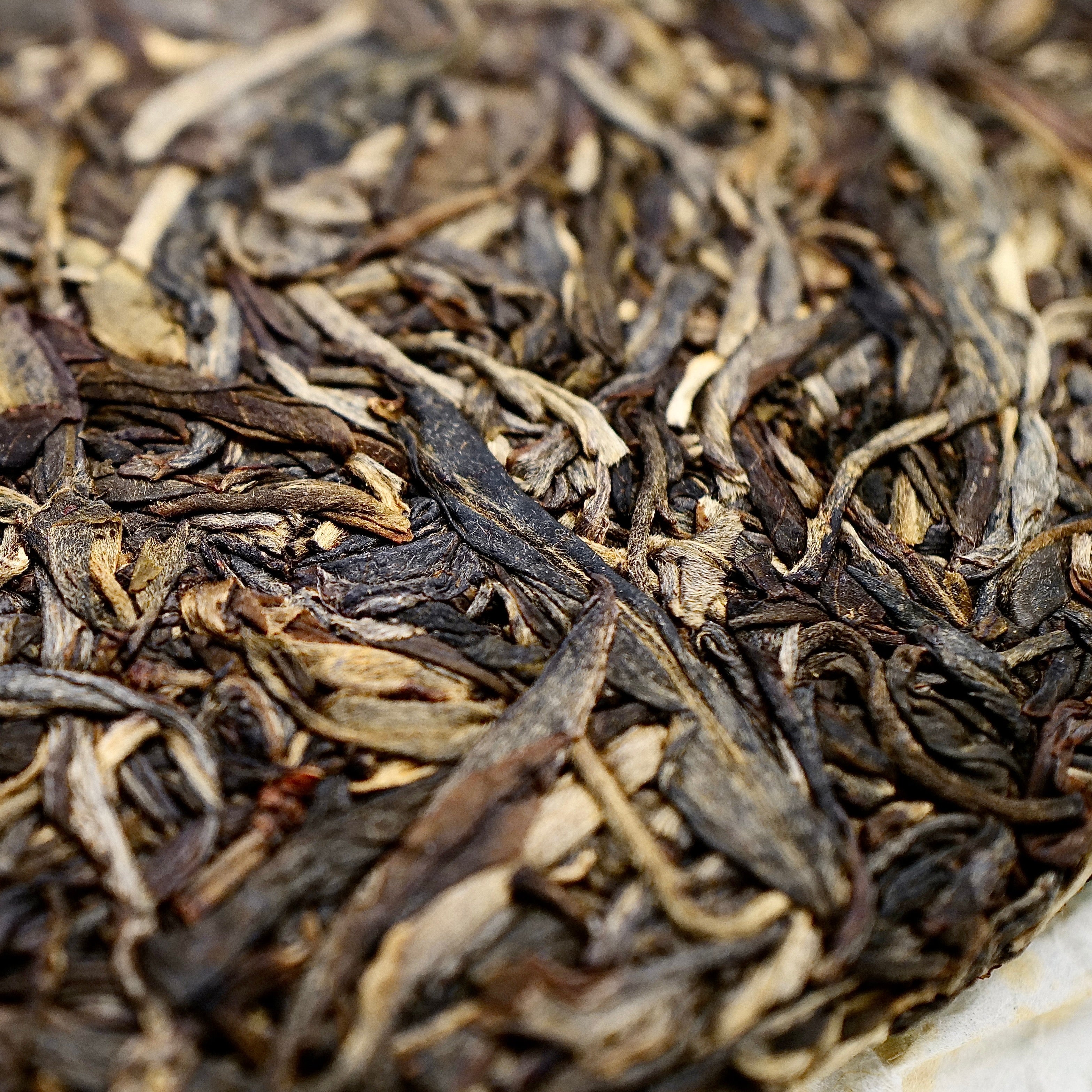 2014 TianXiangRun Raw Puerh Tea 天香潤生普洱茶
