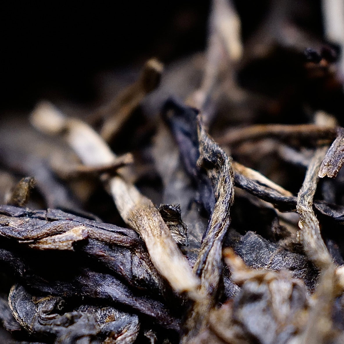 2015 Bangbing Chaqing 500 years Gushu Raw Puerh Tea 邦丙岔箐伍百年古樹生普洱茶